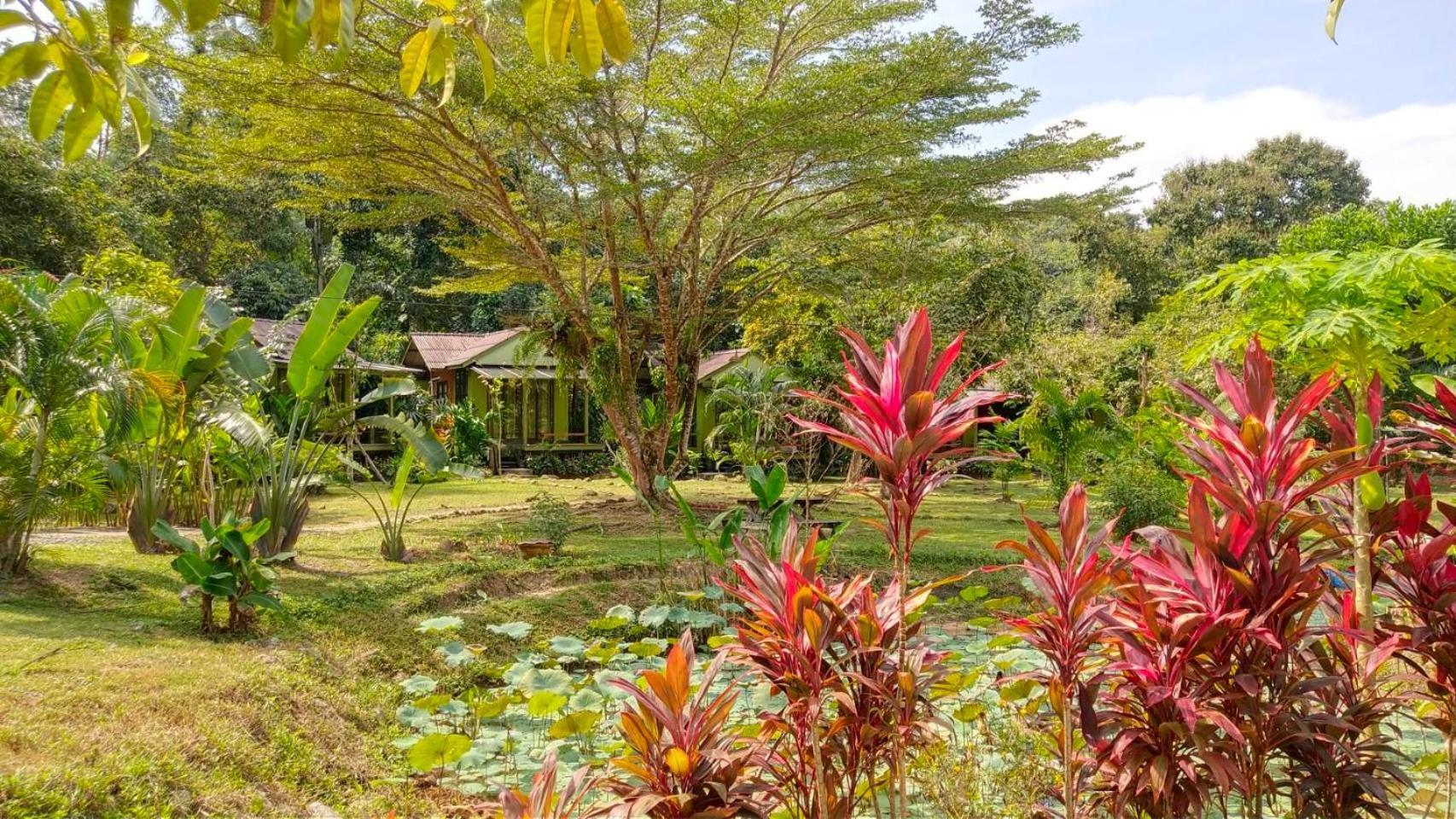 Baan Bua Cottage Sha Extra Plus B5510 Ko Kut Экстерьер фото